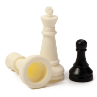 Шахматы 20 х 20 см, король h-3.3 см, d-2.5 см, доска и фигуры пластик