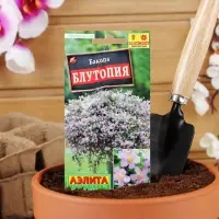 Набор семян Бакопа Блутопия, 2 шт.