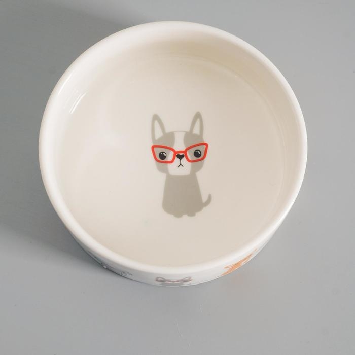 Миска керамическая "Важный пес" 250мл, 11,5 х 5 см, белая