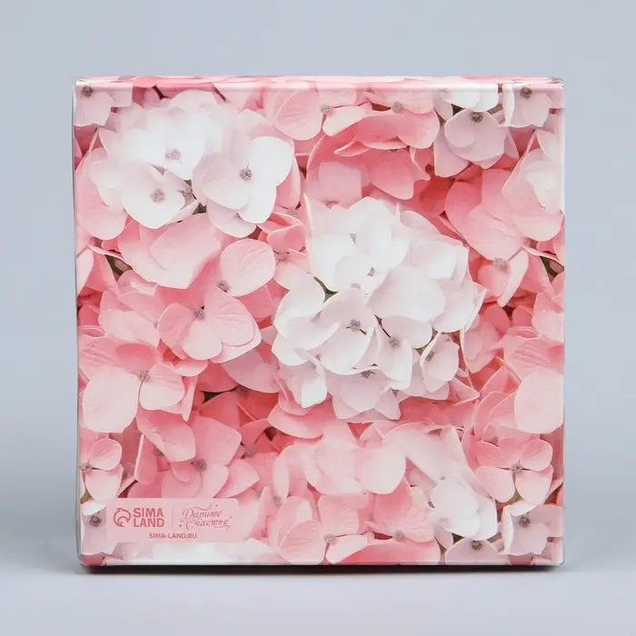 Коробка для печенья, кондитерская упаковка с пластиковой крышкой, Present, 10.5 х 10.5 х 3 см