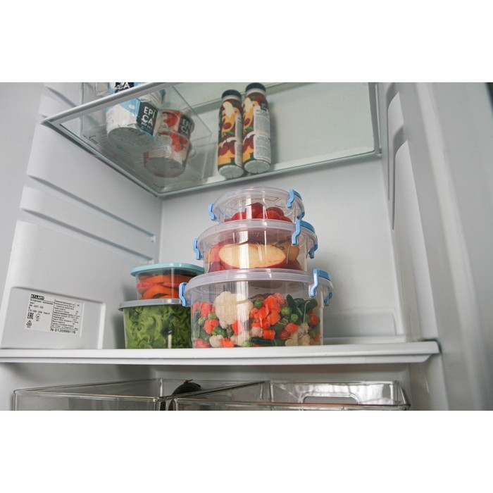 Набор контейнеров пищевых RICCO, 3 шт: 300 мл, 600 мл, 1,2 л, круглые, прозраячные, ручки голубые