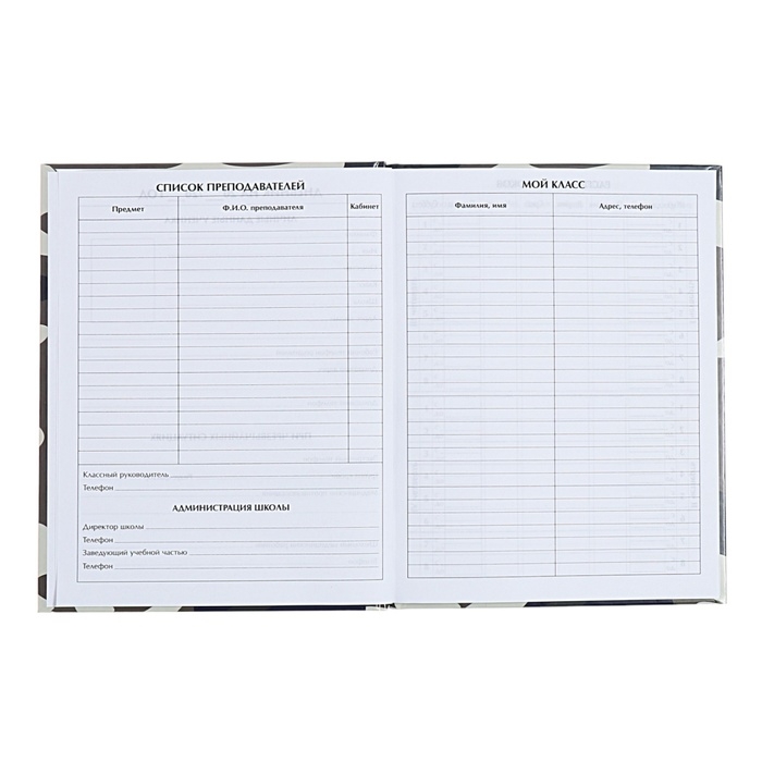 Дневник универсальный для 1-11 классов, "Самолет", твердая обложка 7БЦ, глянцевая ламинация, 40 листов