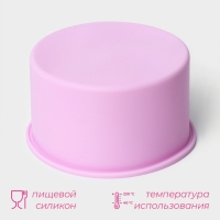 Форма для выпечки Доляна &laquo;Круг&raquo;, силикон, 10&times;6 см, цвет розовый