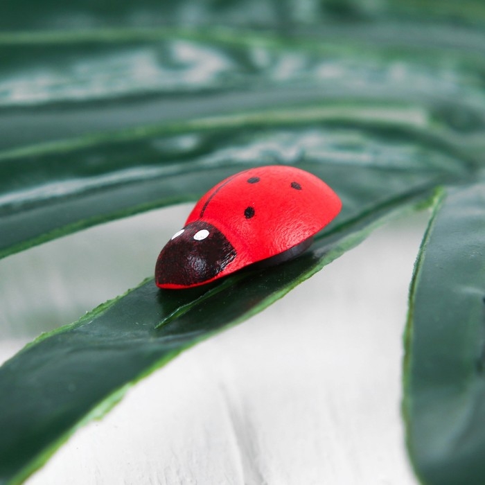 Набор магнитов &laquo;Божья коровка&raquo;, 20 шт., красный