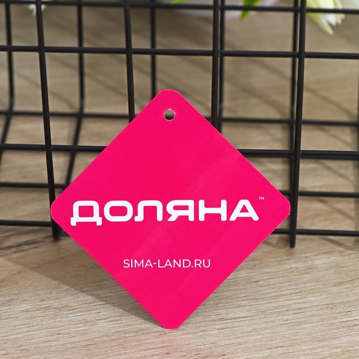 Корзина для мелочей Доляна, 13&times;29&times;11,5 см, цвет чёрный