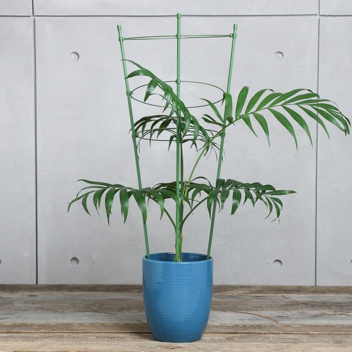 Кустодержатель, d = 18,5&ndash;20&ndash;22 см, h = 60 см, 3 кольца, металл, зелёный, Greengo