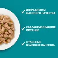 Влажный корм Purinа One для домашних кошек, курица/морковь, 75г