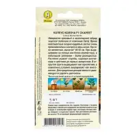 Семена цветов Колеус "Колоча" F1 скарлет, ц/п, 5 шт