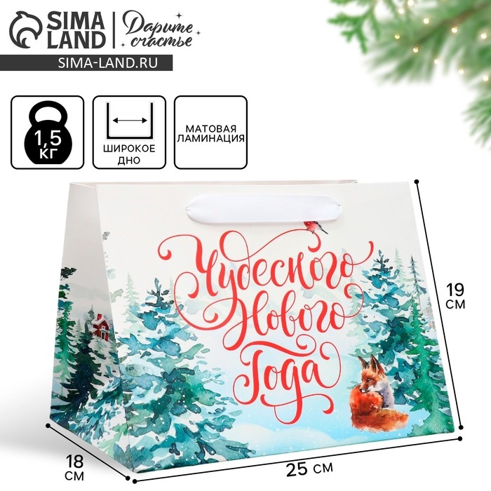 Пакет подарочный новогодний с широким дном &laquo;Новогодние чудеса&raquo;, 25 х 19 х 18 см, Новый год