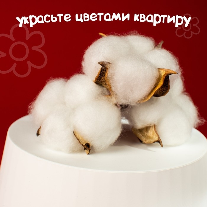 Сухие цветы хлопка, набор 3 шт., размер 1 шт. 6 &times; 6 см, цвет белый