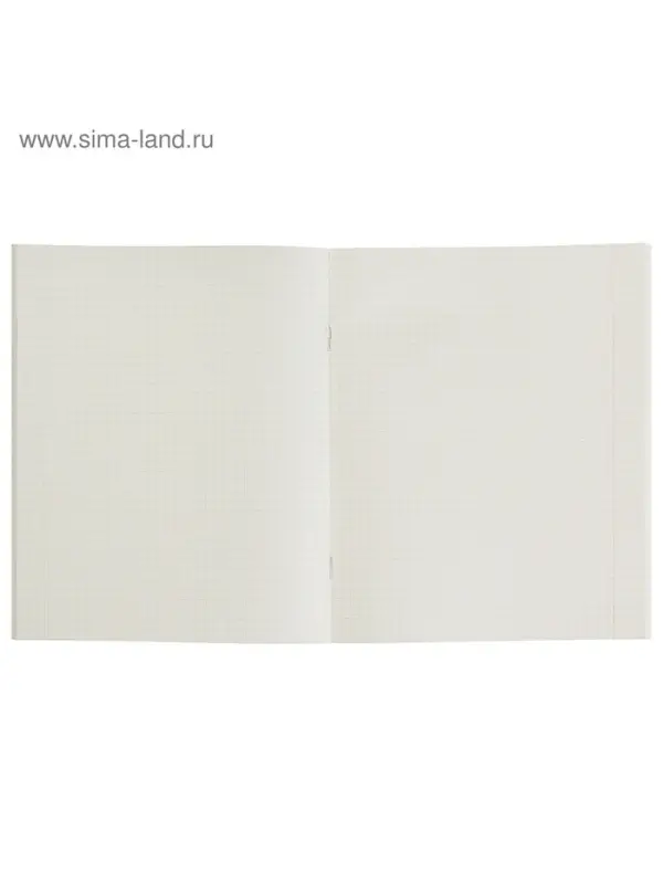 Тетрадь 48 листов в клетку, Calligrata &laquo;Авокадо&raquo;, обложка мелованный картон, МИКС