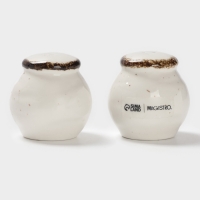 Набор для специй 2 шт Magistro "Alpine Frost" 5х6 см цвет белый, перечница, солонка