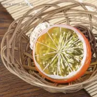 Муляж кусочек апельсин, d=5 см, (фасовка 10 шт., цена за 1 шт.)