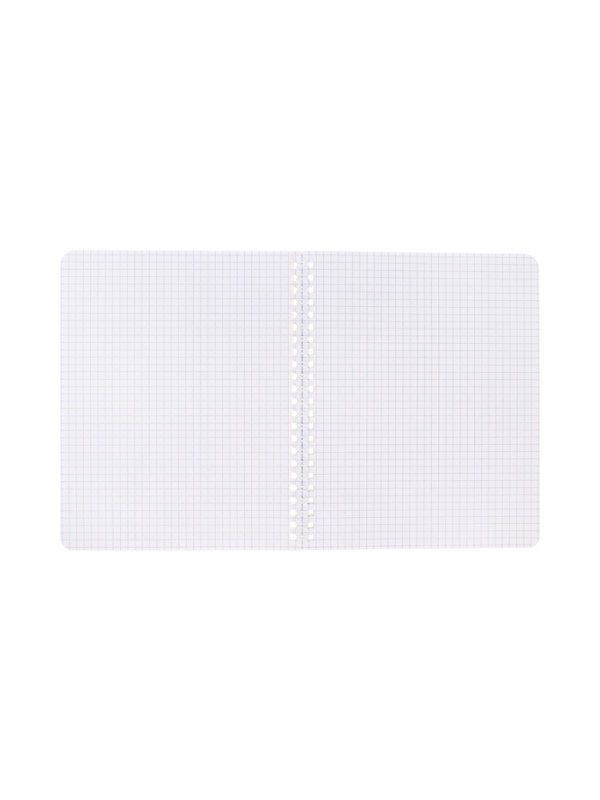 Тетрадь 48л кл на гребне "Проект Капланописьs", бл офсет 60-65г/м&sup2;, 4В МИКС