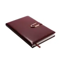 Ежедневник недатированный формат А5, с хлястиком, 112л, линия, пвх, Коричневый