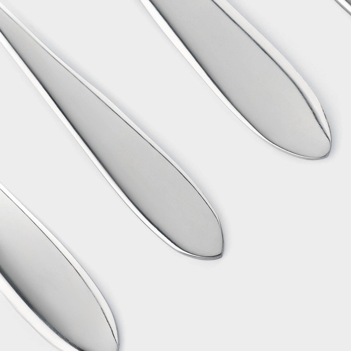 Столовые приборы из нержавеющей стали &laquo;Стандарт&raquo;, картонная коробка, толщина 2 мм, 36 предметов, цвет серебряный