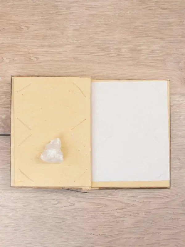 Фотоальбом "Ящерица" 10 листов, 23х27х2 см, цв. коричневый