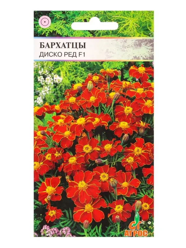 Семена Бархатцы Диско Ред 15 шт