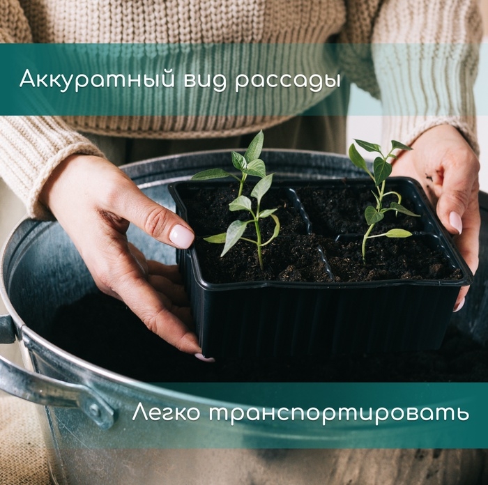 Кассета для выращивания рассады, на 200 ячеек, по 7 мл, из пластика, чёрная, 55 &times; 28 &times; 4 см, Greengo