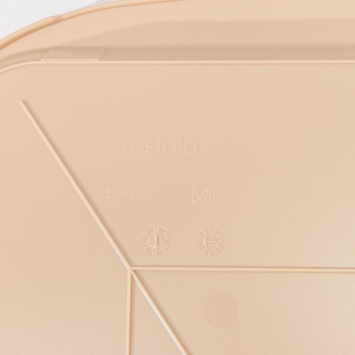 Поднос, 49,5&times;35 см, цвет бежевый