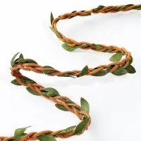 Тесьма плетеная с листьями, 1 м