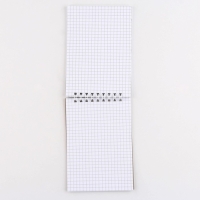 Блокнот &laquo;Котик&raquo; на гребне, А6, 40 листов в клетку, мягкая обложка, плотность бумаги 65 р