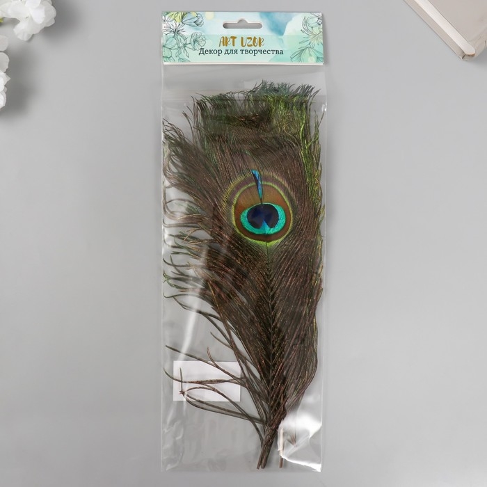 Перо декоративное "Павлин" h=25-30 см