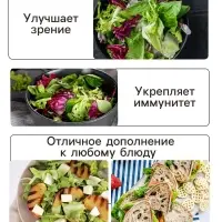 Семена Салат листовой "Азарт",0,5 г