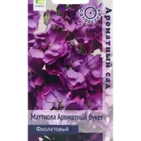 Семена цветов Маттиола Ароматный Букет Фиолетовый, 0,05р