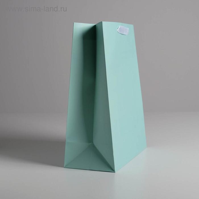 Пакет подарочный, упаковка, &laquo;Мятный&raquo;, 26 х 32 х 12 см