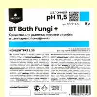 Усиленное чистящее средство для удаления плесени и грибка BT Bath Fungi+, концентрат 5л