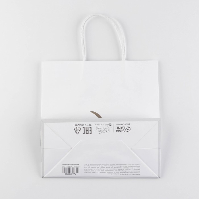 Пакет подарочный, упаковка, &laquo;Пирожочек&raquo;, 22 х 22 х 11 см