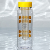 Бутылка для воды &laquo;Лето, солнце, спорт&raquo;, 500 мл