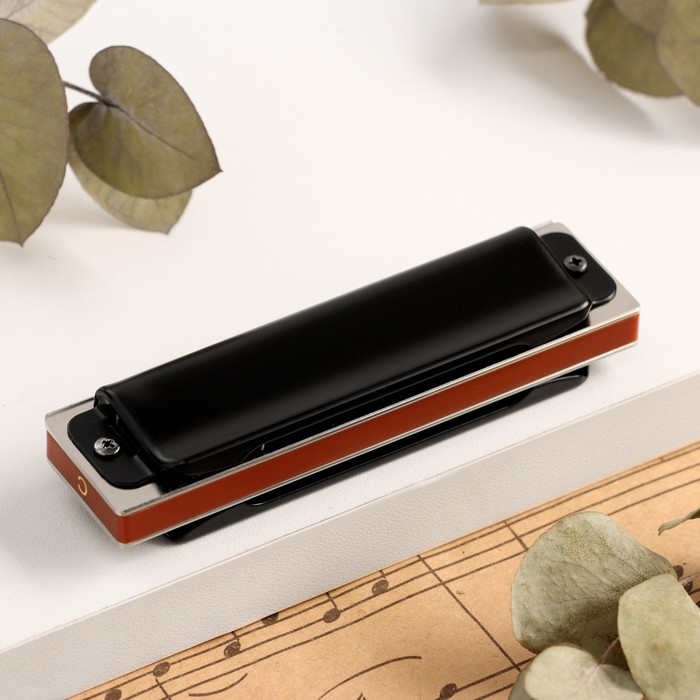 Губная гармошка Music Life T008L  C диатоническая, 10 отверстий, с футляром