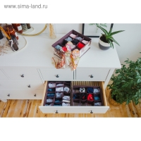 Органайзер для хранения белья Доляна &laquo;Астра&raquo;, 12 ячеек, 32&times;24&times;12 см, цвет коричневый