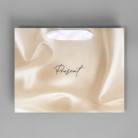 Пакет подарочный, упаковка, &laquo;Present&raquo;, 22 х 17.5 х 8 см