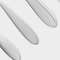 Столовые приборы из нержавеющей стали &laquo;Стандарт&raquo;, картонная коробка, толщина 2 мм, 36 предметов, цвет серебряный