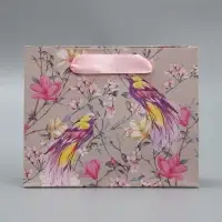 Пакет подарочный крафтовый, упаковка, &laquo;Птицы&raquo;, S 15 х 12 х 5.5 см