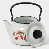 Чайник сферич. с мет.р. 3л (белая)Астры