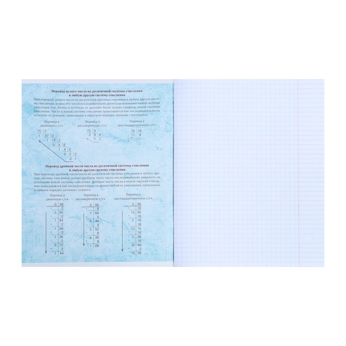 Тетрадь предметная Calligrata "Комикс Аниме", 48 листов в клетку Информатика, со справочным материалом, обложка мелованный картон, УФ-лак (полный), блок офсет