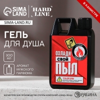 Гель для душа &laquo;Охлади свой пыл&raquo;, 300 мл, аромат мужского парфюма, HARD LINE