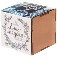 Набор для выращивания &laquo;Экокуб Lite&raquo;, ель голубая