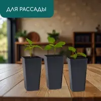 Горшок для рассады, 600 мл, d=8 см, h=15 см, пластик, МИКС, Greengo