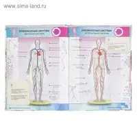 Энциклопедия 4D в дополненной реальности &laquo;Анатомия&raquo;