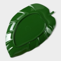 Блюдо для подачи &laquo;Лист&raquo;, 37,5&times;23,5&times;2 см, цвет зелёный