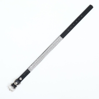 Ошейник со стразами в 4 ряда и стразы на пряжке, 38 х 1,5 см, ОШ 26-33, чёрный