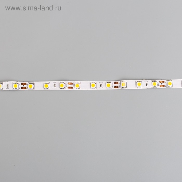 Светодиодная лента Ecola STD 5 м, IP20, SMD5050, 60 LED/м, 14.4 Вт/м, 12 В, 4200К