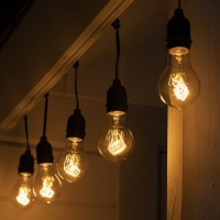 Гирлянда &laquo;Ретро белт-лайт&raquo; 10 м, IP54, УМС, тёмная нить, шаг 100 см, Е27 (без ламп), 220 В