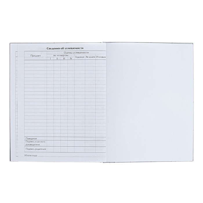 Дневник для 5-11 классов "Современный вайб. Анонимность", твёрдая обложка, матовая ламинация, выборочный лак, 48 листов