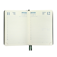 Ежедневник датированный 2025 года, A5, 168 листов в линейку, кожзам "Небраска", золотой срез, зеленый